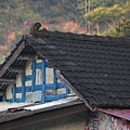 039內甕風中霧景.jpg
