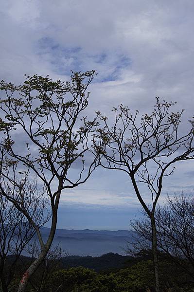 雲山水019.jpg