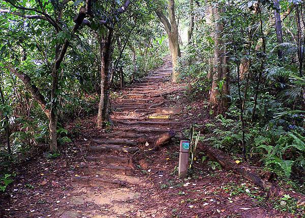 內湖康樂山022.jpg