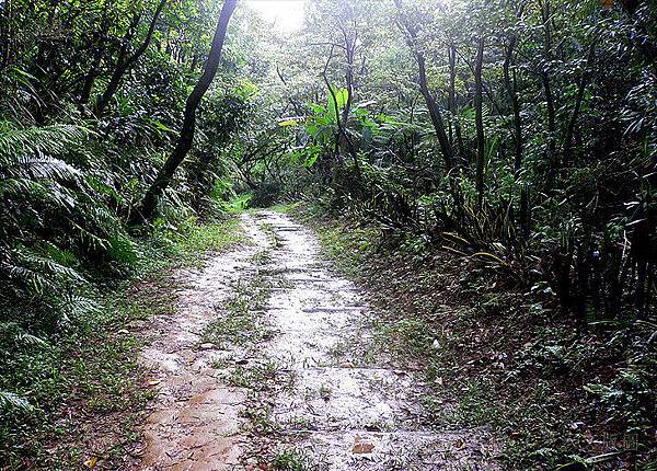 內湖康樂山053.jpg