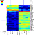 heatmap