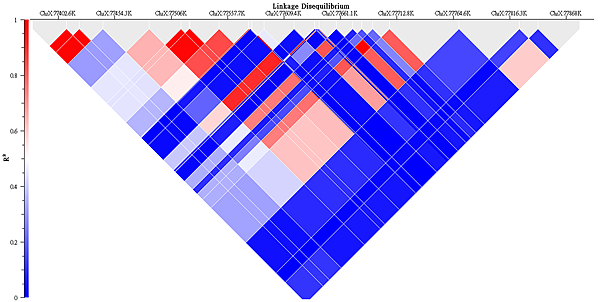 haplotype_detection