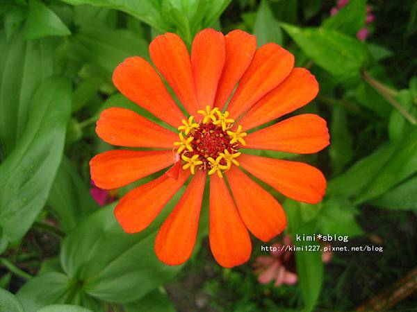 IMG_4743 IMG_4743