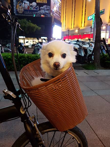 2016-08-26~坐腳踏車來探班