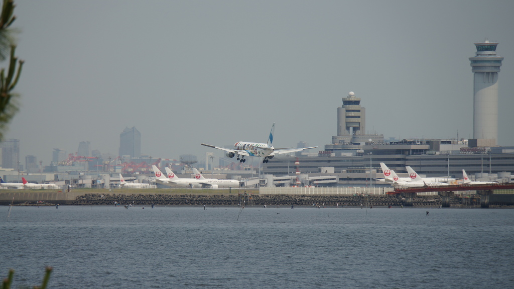 【羽田HND】拍飛機@羽田機場對岸的「浮島町公園」。羽田機場