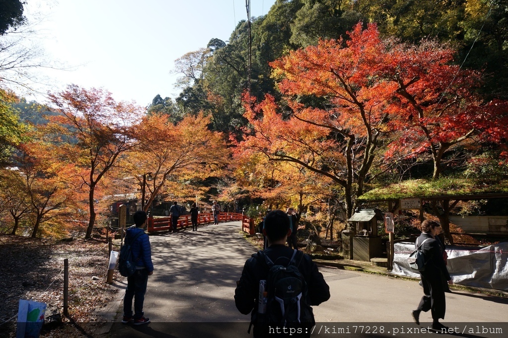 京都 - 高雄神護寺