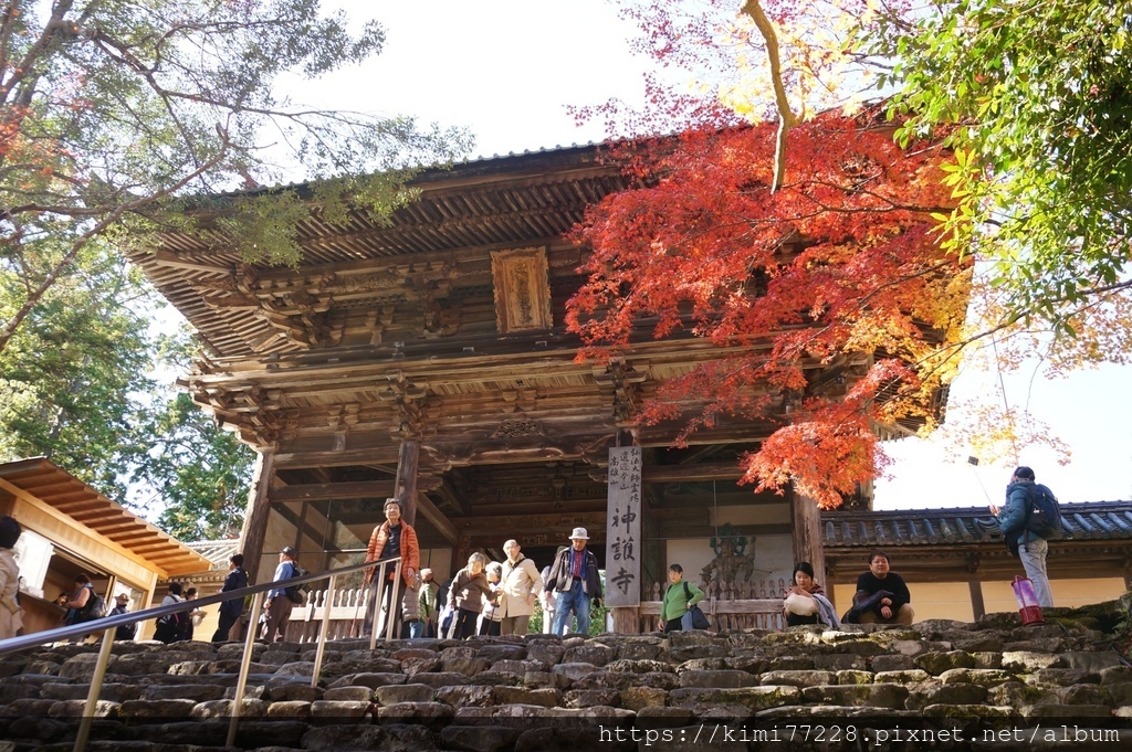 京都 - 高雄神護寺