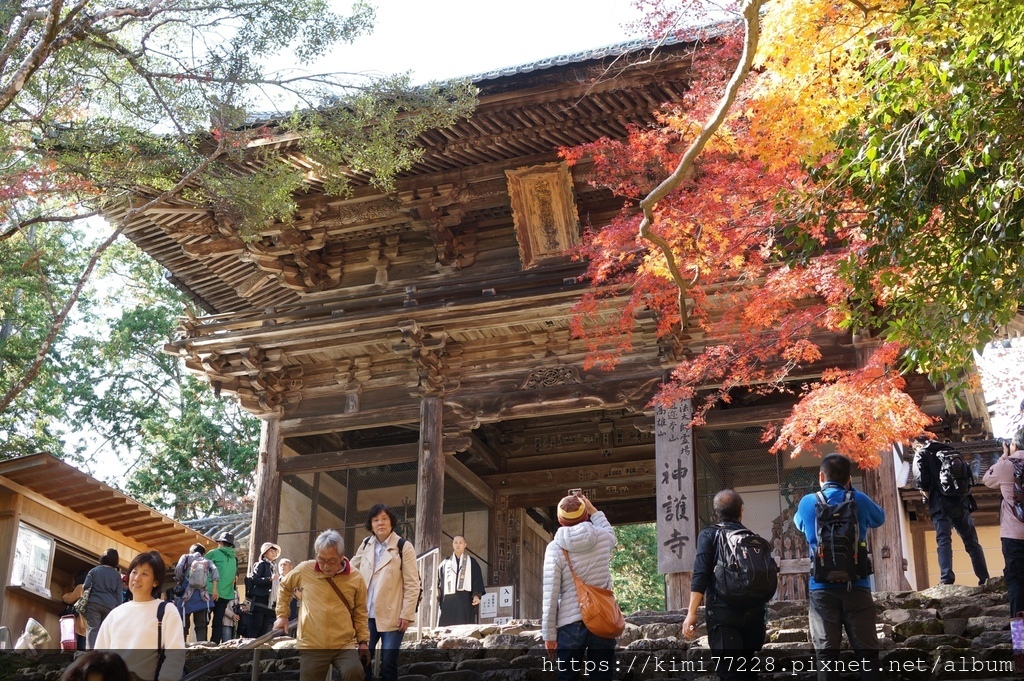 京都 - 高雄神護寺