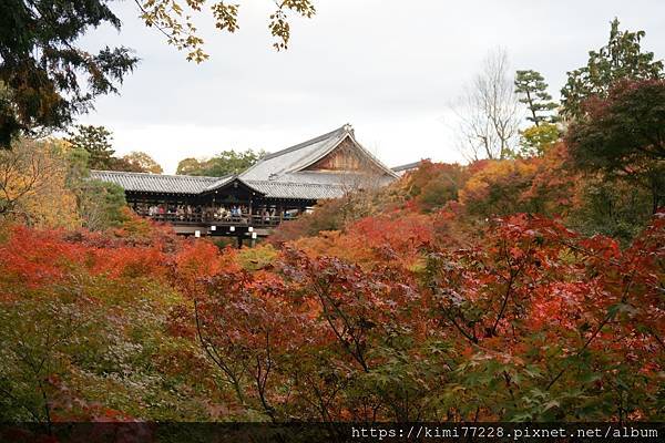 京都 - 東福寺