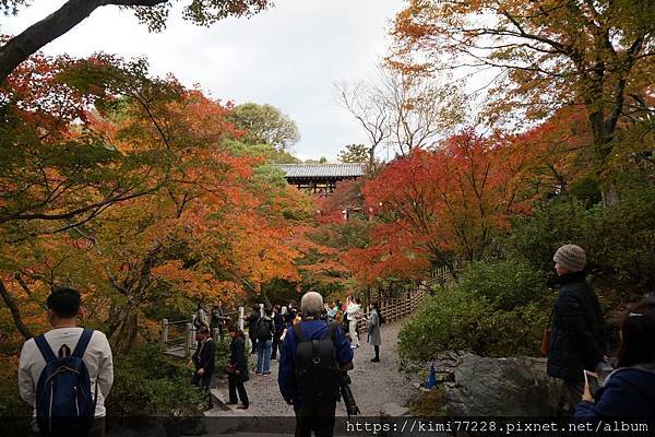 京都 - 東福寺