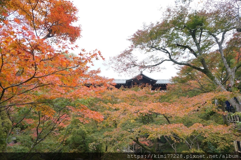 京都 - 東福寺