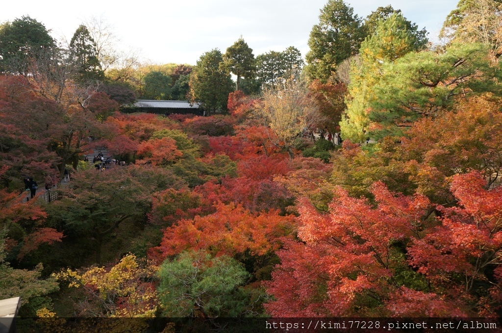 京都 - 東福寺