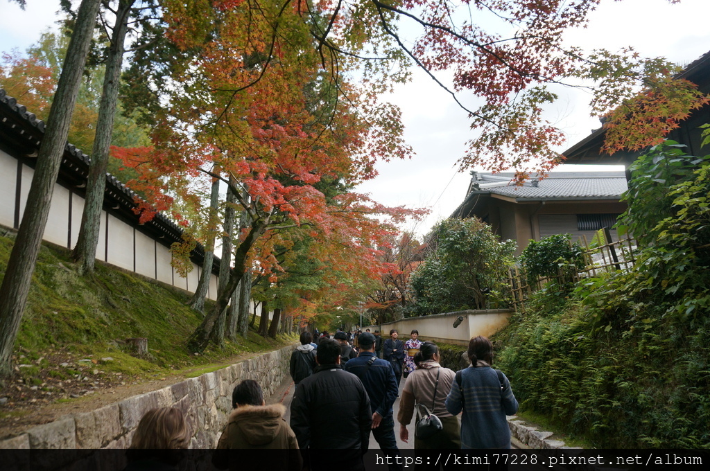 京都 - 東福寺