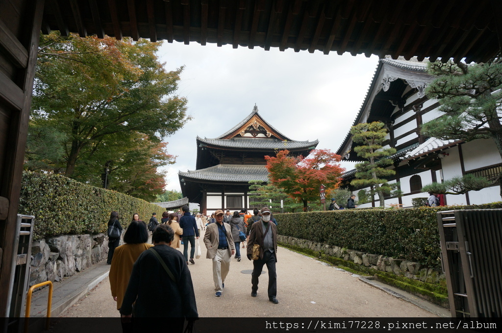 【京都楓葉景點】秋季賞楓必來的紅葉名所「東福寺」