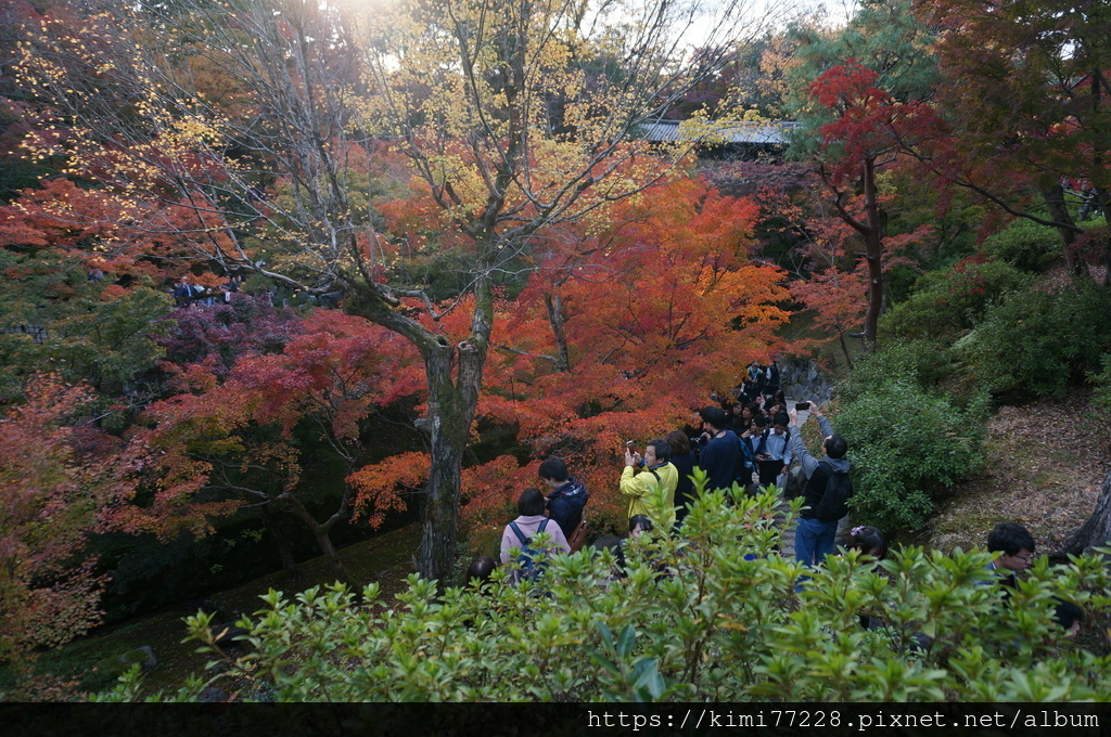 京都 - 東福寺