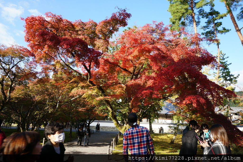 京都 - 南禪寺