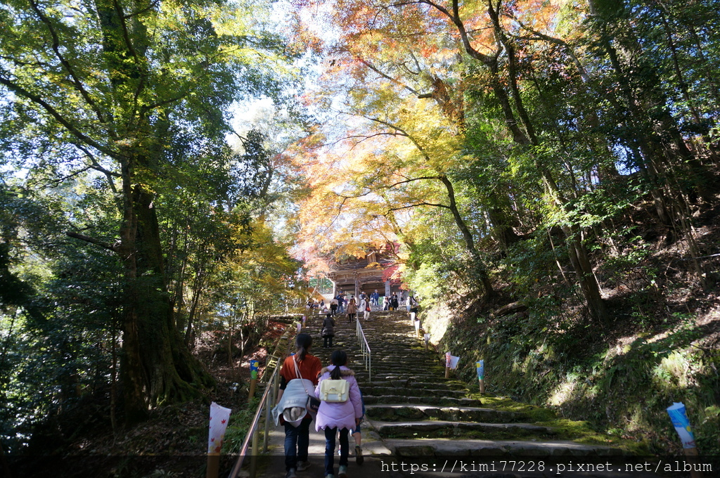京都 - 高雄神護寺