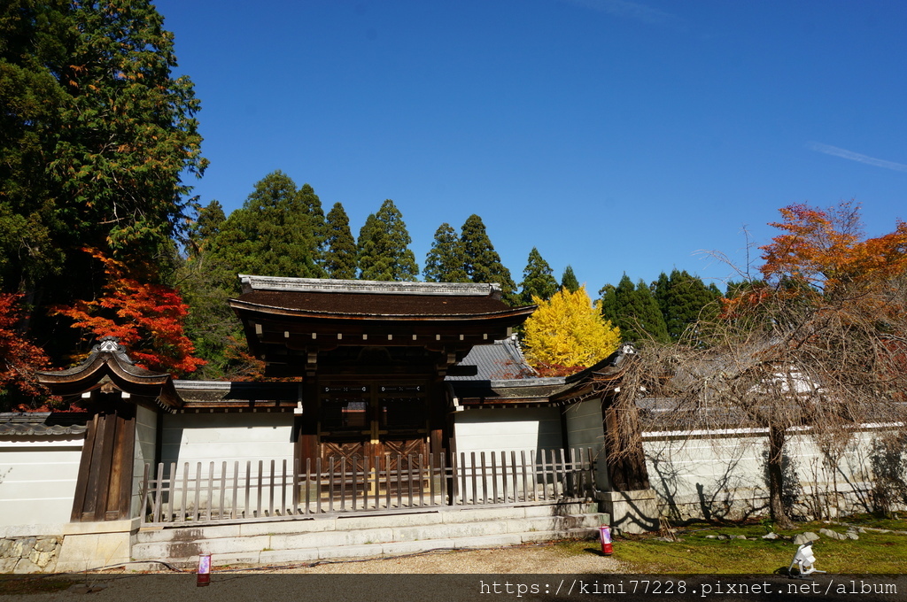京都 - 高雄神護寺