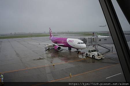 仙台機場 - 樂桃A320