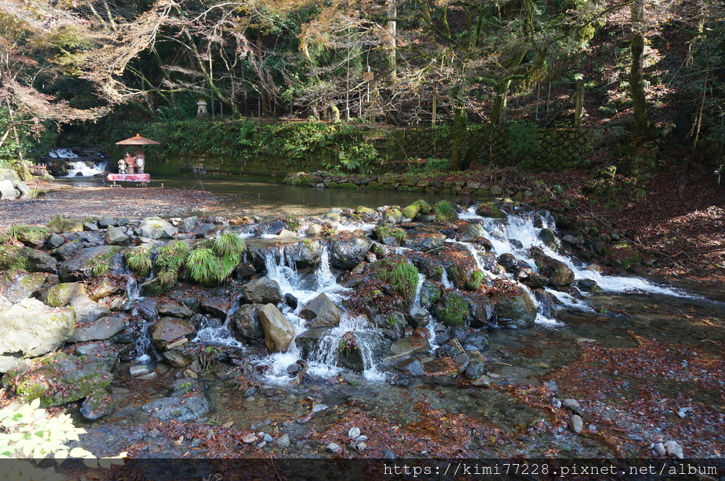 【京都楓葉景點】在被紅葉包圍的「貴船神社」體驗水占卜