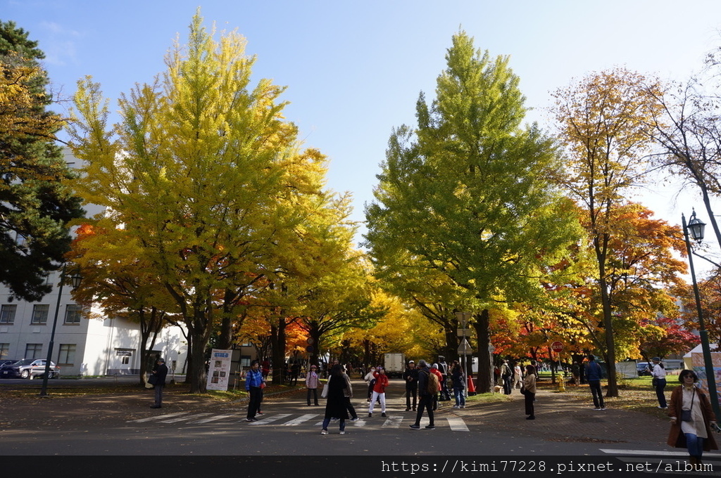 札幌-北海道大學