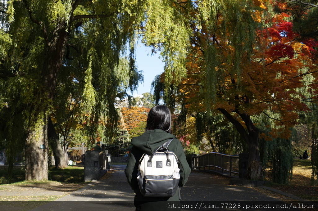 【札幌紅葉】美得超乎預期的「中島公園」