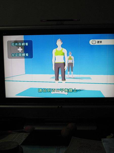 wii fit (1)