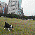 131213_1.gif