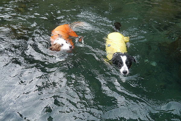 P1630201.JPG P1630201.JPG