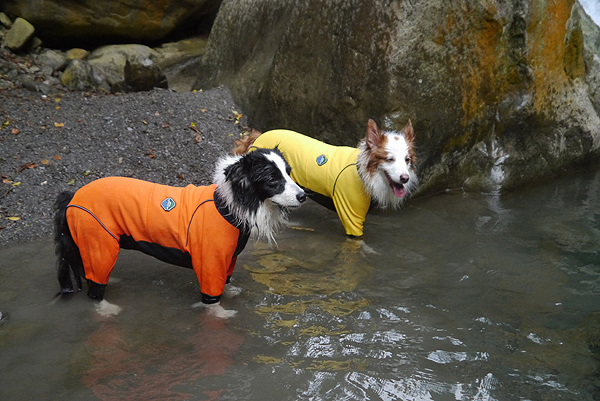 P1660524.JPG P1660524.JPG