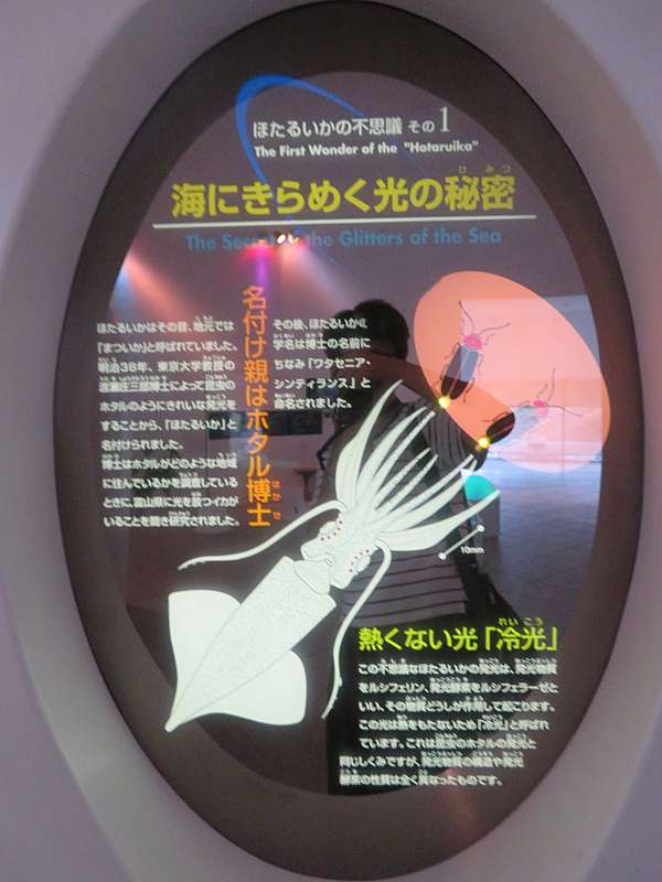 富山微旅行day 4 3 海之駅蜃氣樓 滑川螢光魷博物館 愛餵一家的旅遊記錄 痞客邦 富山微旅行day 4 3 海之駅蜃氣樓 滑川螢光魷博物館 愛餵一家的旅遊記錄 痞客邦