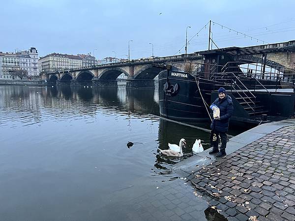 20221204_074549+0100-4803130.jpg 20221204_074549+0100-4803130.jpg