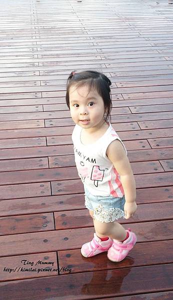 <Angela Ting 成長記事> 💖 2Y 4M ~2Y 5M 💖 婷妞的成長記事