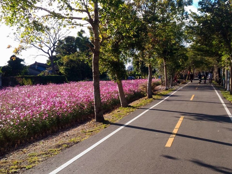 潭雅神綠園道＠舊鐵路線改建 台中親子旅遊放電好景點 走春賞景騎單車 消腫消肚消罪惡