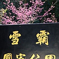 20100228_0858.jpg