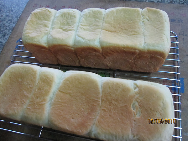 20100815 a loaf of toast 009.jpg