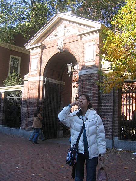 Harvard University
