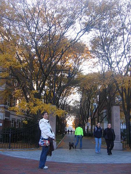 park toward the Charles River