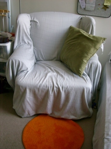 single sofa $10