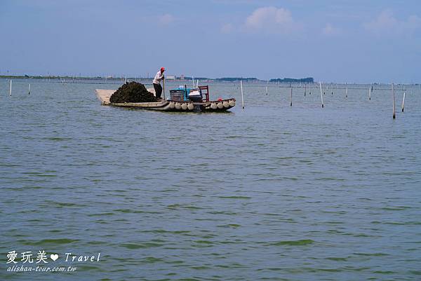 七股潟湖 (3)(修).jpg