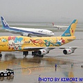 All Nippon Airways JA8957