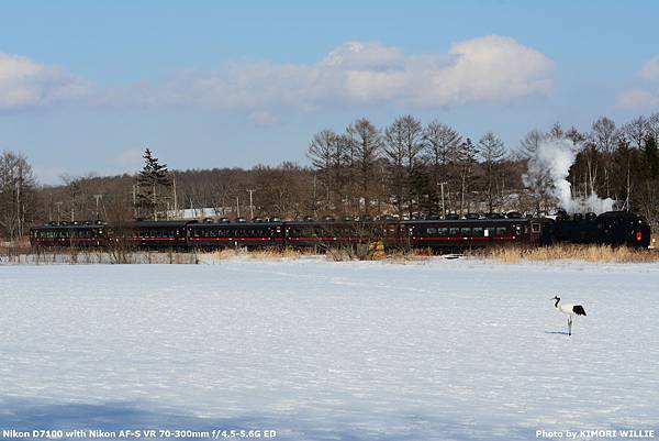[遊記] 2019銀白道東 5-1 SL冬の湿原号列車拍攝2