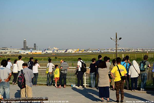 [分享] 2019.05.25 成田機場さくらの山賞機