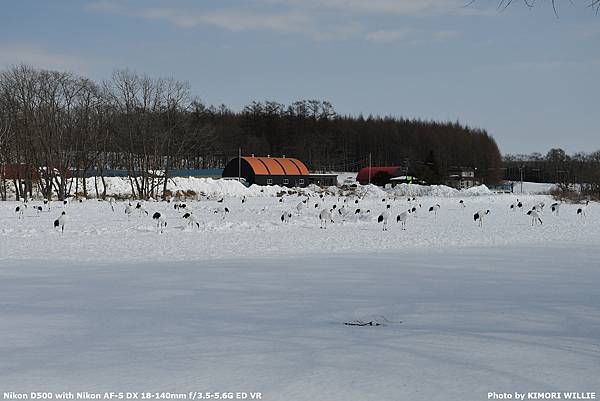 [遊記] 2025/2冬季道東4  鶴見台/釧路網走移動日