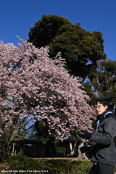 [遊記] 2025/2冬季道東7  新宿御苑