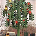 紅綠燈樹