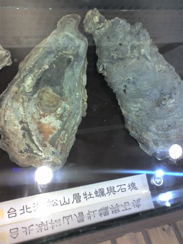 08-15-07_1015.jpg