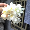 02-20-08_香花