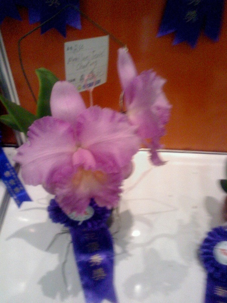 20090414092433.jpg