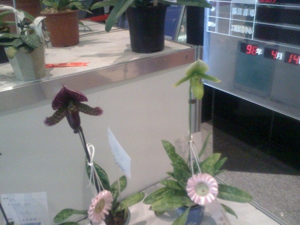 20090414092549.jpg